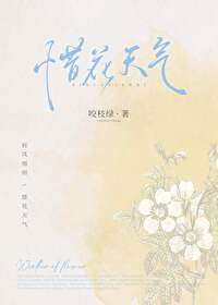 惜花芷全文免费阅读完整版