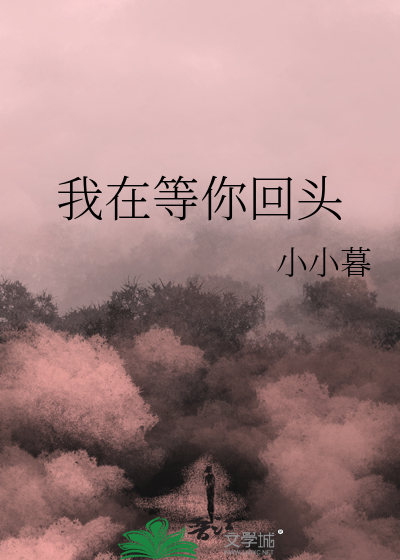 我在等你回头