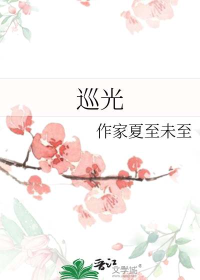 巡光